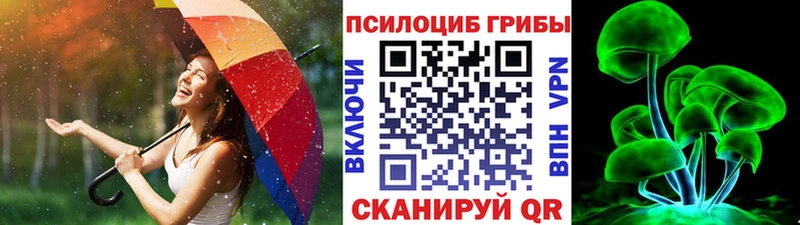 Галлюциногенные грибы Psilocybe Кинешма