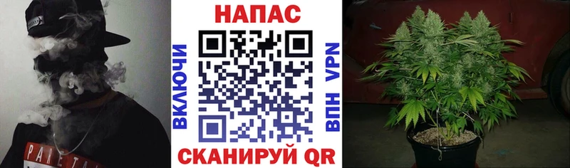 Бошки Шишки семена  магазин  наркотиков  Кинешма 